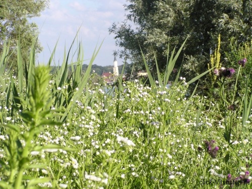 Donauradweg Vilshofen-Hofkirchen, Stadtpfarrkirche Vilshofen
