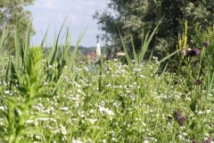 Donauradweg Vilshofen-Hofkirchen, Stadtpfarrkirche Vilshofen