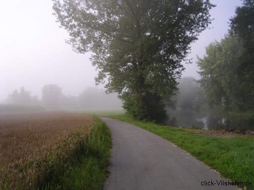 Donauradweg am frühen Morgen