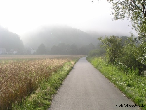 Donauradweg am frühen Morgen