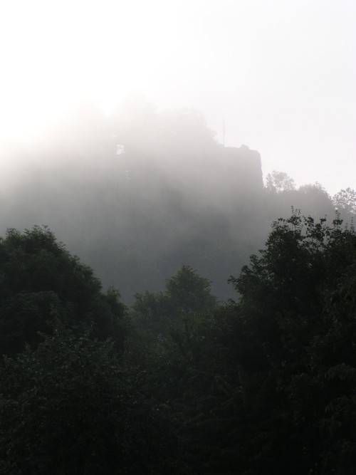 Donauradweg am frühen Morgen, Hilgartsberg