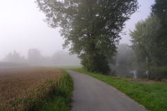 Donauradweg am frühen Morgen