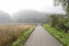 Donauradweg am frühen Morgen