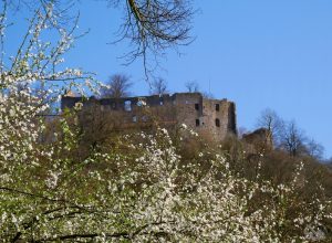 Read more about the article Burgruine im Frühling