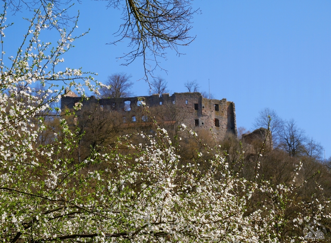 You are currently viewing Burgruine im Frühling