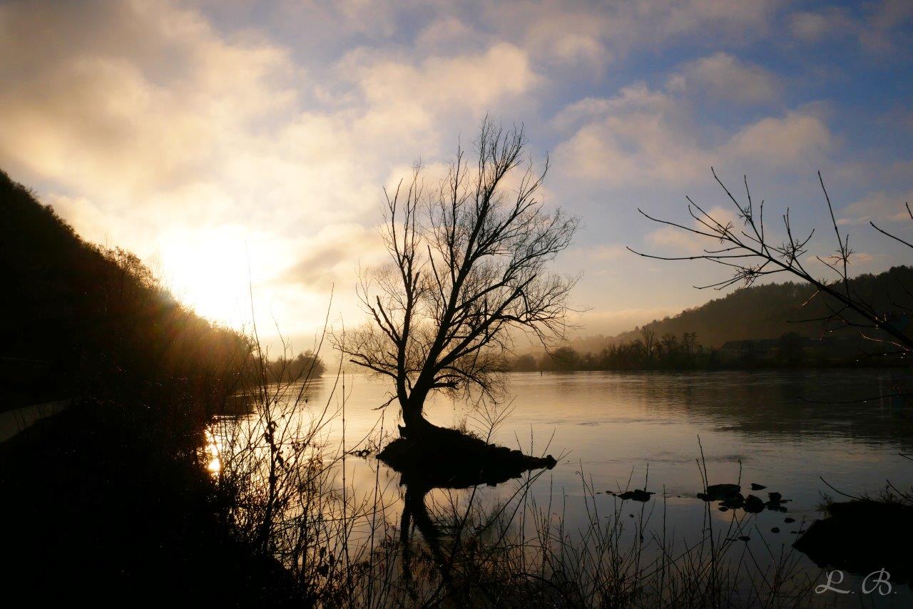 Read more about the article SONNENAUFGANG AN DER DONAU