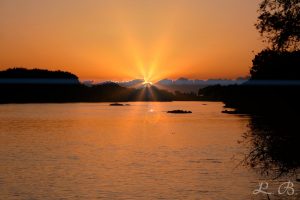 Read more about the article Sonnenuntergang an der Donau